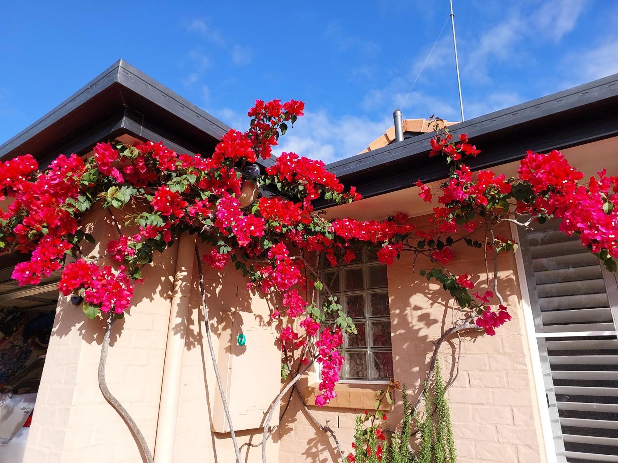 Summerhouses Noosaville Exterior foto